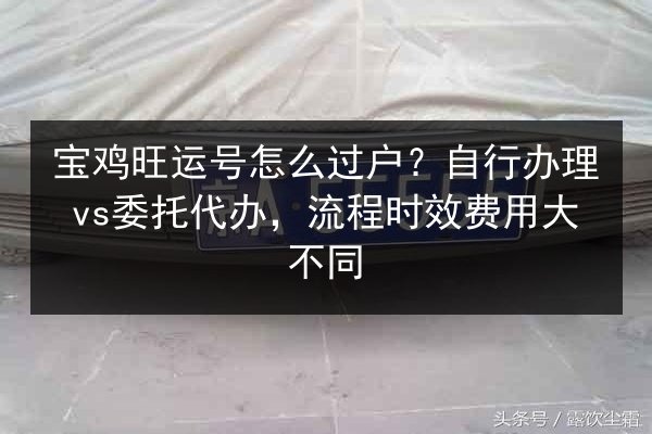 宝鸡旺运号怎么过户?自行办理vs委托代办,流程时效费用大不同 第2张 宝鸡旺运号怎么过户?自行办理vs委托代办,流程时效费用大不同 第2张