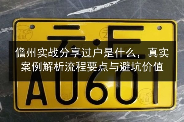 儋州实战分享过户是什么，真实案例解析流程要点与避坑价值 第1张