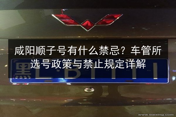 咸阳顺子号有什么禁忌？车管所选号政策与禁止规定详解 第2张