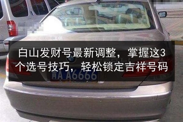 白山发财号最新调整,掌握这3个选号技巧,轻松锁定吉祥号码 第3张 白山发财号最新调整,掌握这3个选号技巧,轻松锁定吉祥号码 第3张