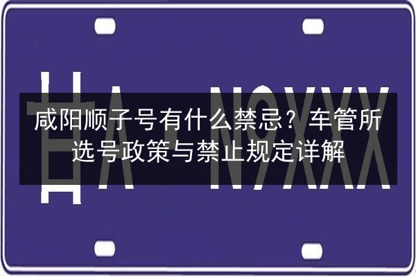 咸阳顺子号有什么禁忌？车管所选号政策与禁止规定详解 第3张