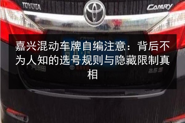 嘉兴混动车牌自编注意：背后不为人知的选号规则与隐藏限制真相