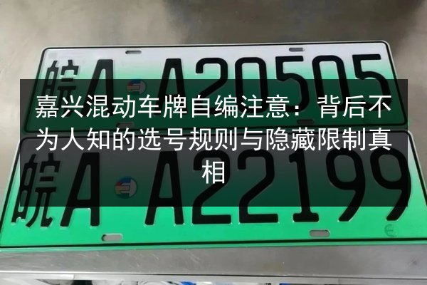 嘉兴混动车牌自编注意：背后不为人知的选号规则与隐藏限制真相 第2张