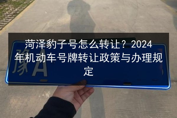 菏泽豹子号怎么转让？2024年机动车号牌转让政策与办理规定