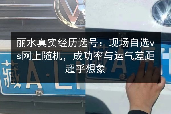 丽水真实经历选号：现场自选vs网上随机，成功率与运气差距超乎想象