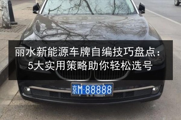 丽水新能源车牌自编技巧盘点：5大实用策略助你轻松选号