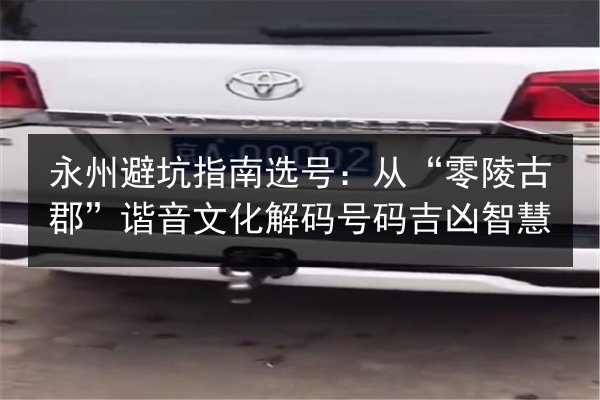 永州避坑指南选号:从“零陵古郡”谐音文化解码号码吉凶智慧 第2张 永州避坑指南选号:从“零陵古郡”谐音文化解码号码吉凶智慧 第2张