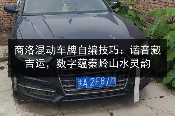 商洛混动车牌自编技巧：谐音藏吉运，数字蕴秦岭山水灵韵