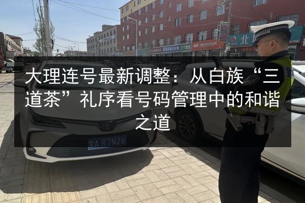 大理连号最新调整:从白族“三道茶”礼序看号码管理中的和谐之道 第2张 大理连号最新调整:从白族“三道茶”礼序看号码管理中的和谐之道 第2张