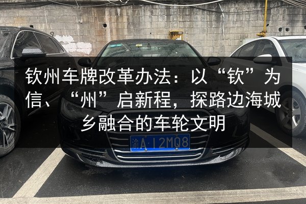 钦州车牌改革办法：以“钦”为信、“州”启新程，探路边海城乡融合的车轮文明 第2张
