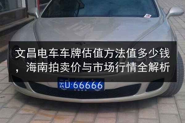 文昌电车车牌估值方法值多少钱，海南拍卖价与市场行情全解析