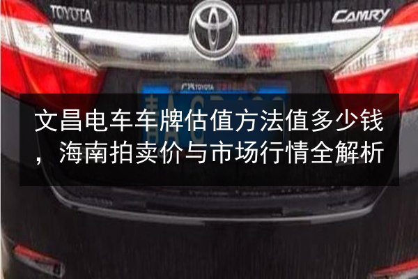 文昌电车车牌估值方法值多少钱,海南拍卖价与市场行情全解析 第2张 文昌电车车牌估值方法值多少钱,海南拍卖价与市场行情全解析 第2张