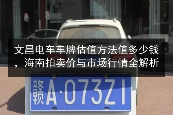 文昌电车车牌估值方法值多少钱,海南拍卖价与市场行情全解析 第3张 文昌电车车牌估值方法值多少钱,海南拍卖价与市场行情全解析 第3张