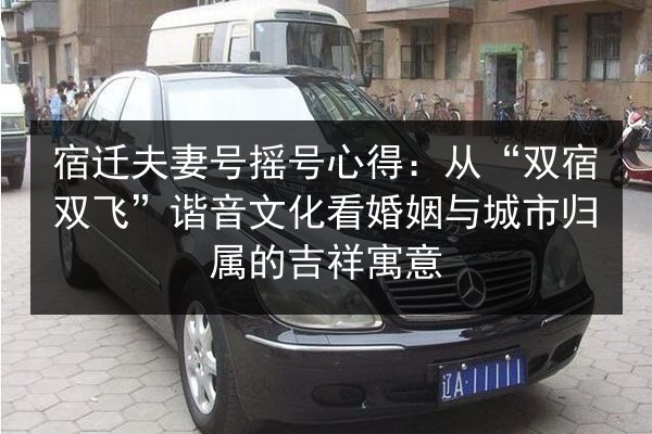 宿迁夫妻号摇号心得：从“双宿双飞”谐音文化看婚姻与城市归属的吉祥寓意 第2张