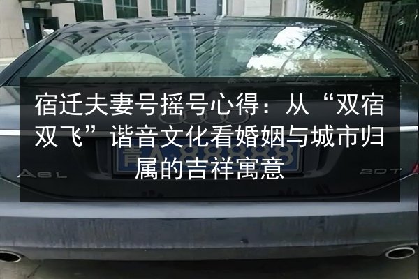 宿迁夫妻号摇号心得：从“双宿双飞”谐音文化看婚姻与城市归属的吉祥寓意 第3张