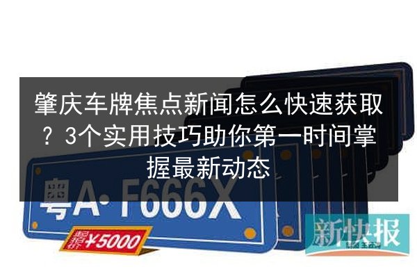 肇庆车牌焦点新闻怎么快速获取？3个实用技巧助你第一时间掌握最新动态