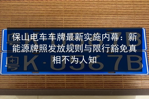 保山电车车牌最新实施内幕：新能源牌照发放规则与限行豁免真相不为人知