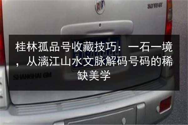 桂林孤品号收藏技巧：一石一境，从漓江山水文脉解码号码的稀缺美学