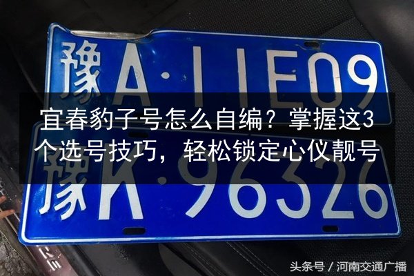 宜春豹子号怎么自编?掌握这3个选号技巧,轻松锁定心仪靓号 第2张 宜春豹子号怎么自编?掌握这3个选号技巧,轻松锁定心仪靓号 第2张