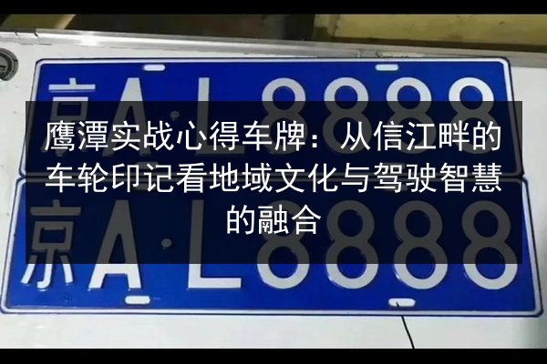 鹰潭实战心得车牌：从信江畔的车轮印记看地域文化与驾驶智慧的融合 第2张