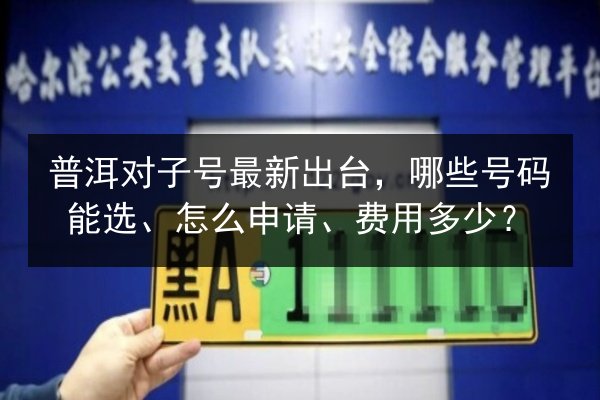 普洱对子号最新出台，哪些号码能选、怎么申请、费用多少？
