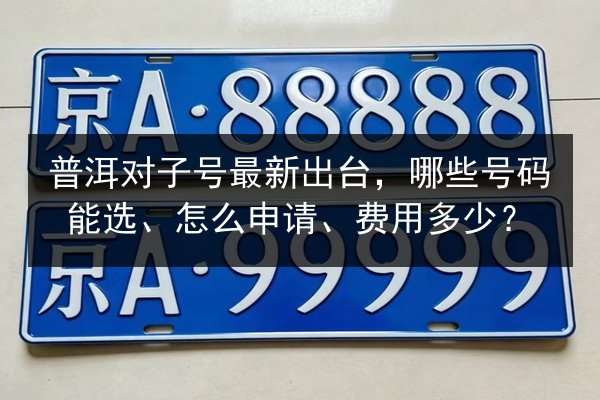 普洱对子号最新出台,哪些号码能选、怎么申请、费用多少? 第2张 普洱对子号最新出台,哪些号码能选、怎么申请、费用多少? 第2张
