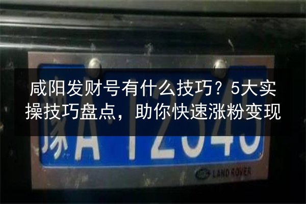 咸阳发财号有什么技巧？5大实操技巧盘点，助你快速涨粉变现