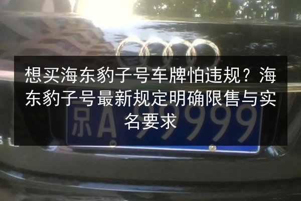 想买海东豹子号车牌怕违规？海东豹子号最新规定明确限售与实名要求