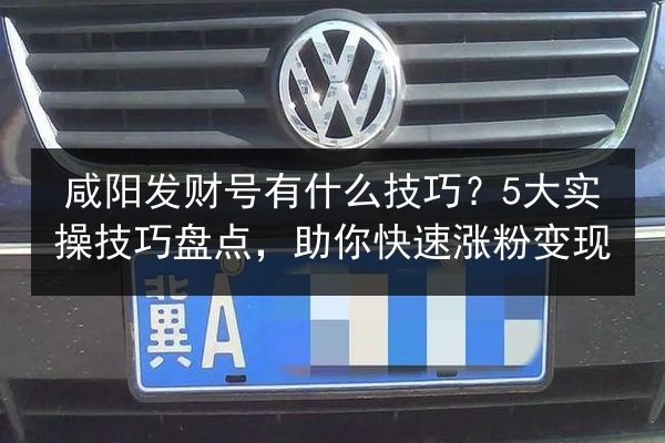 咸阳发财号有什么技巧?5大实操技巧盘点,助你快速涨粉变现 第2张 咸阳发财号有什么技巧?5大实操技巧盘点,助你快速涨粉变现 第2张