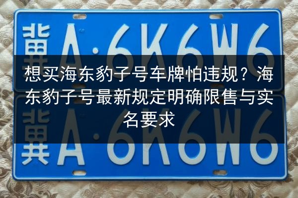 想买海东豹子号车牌怕违规?海东豹子号最新规定明确限售与实名要求 第2张 想买海东豹子号车牌怕违规?海东豹子号最新规定明确限售与实名要求 第2张