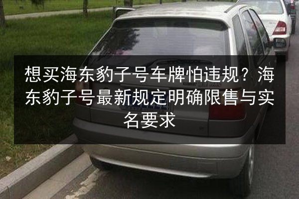 想买海东豹子号车牌怕违规?海东豹子号最新规定明确限售与实名要求 第3张 想买海东豹子号车牌怕违规?海东豹子号最新规定明确限售与实名要求 第3张