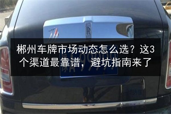 郴州车牌市场动态怎么选?这3个渠道最靠谱,避坑指南来了 第2张 郴州车牌市场动态怎么选?这3个渠道最靠谱,避坑指南来了 第2张