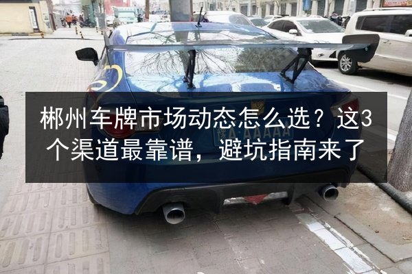 郴州车牌市场动态怎么选?这3个渠道最靠谱,避坑指南来了 第3张 郴州车牌市场动态怎么选?这3个渠道最靠谱,避坑指南来了 第3张