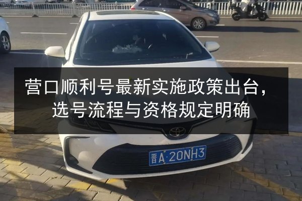 营口顺利号最新实施政策出台，选号流程与资格规定明确