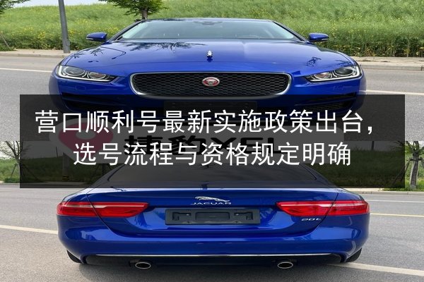 营口顺利号最新实施政策出台,选号流程与资格规定明确 第2张 营口顺利号最新实施政策出台,选号流程与资格规定明确 第2张