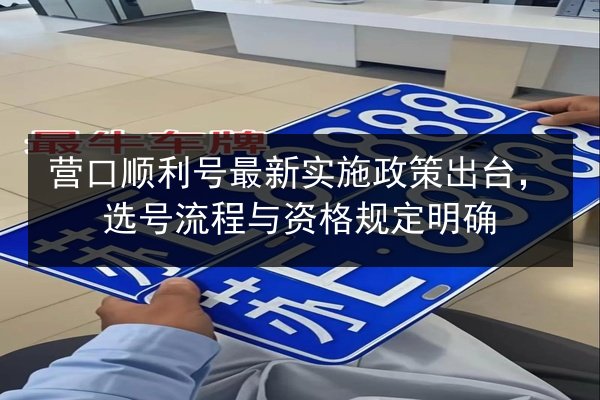 营口顺利号最新实施政策出台,选号流程与资格规定明确 第3张 营口顺利号最新实施政策出台,选号流程与资格规定明确 第3张