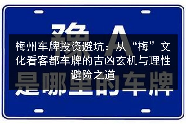 梅州车牌投资避坑:从“梅”文化看客都车牌的吉凶玄机与理性避险之道 第2张 梅州车牌投资避坑:从“梅”文化看客都车牌的吉凶玄机与理性避险之道 第2张