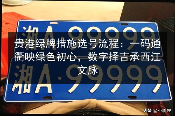 贵港绿牌措施选号流程：一码通衢映绿色初心，数字择吉承西江文脉 第2张
