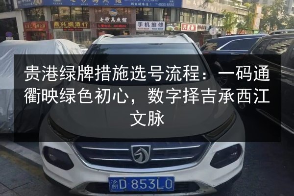 贵港绿牌措施选号流程：一码通衢映绿色初心，数字择吉承西江文脉 第3张