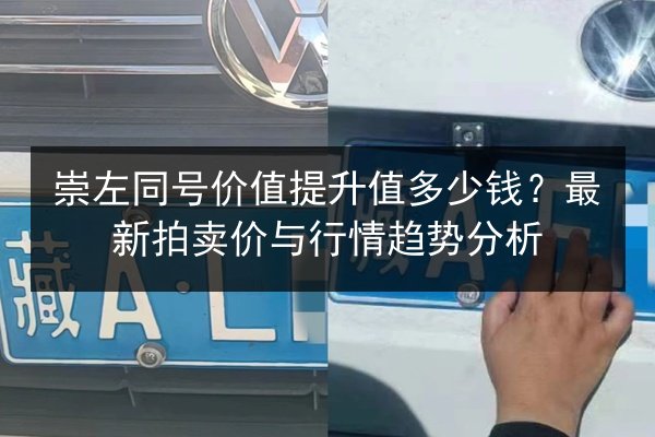 崇左同号价值提升值多少钱？最新拍卖价与行情趋势分析 第2张