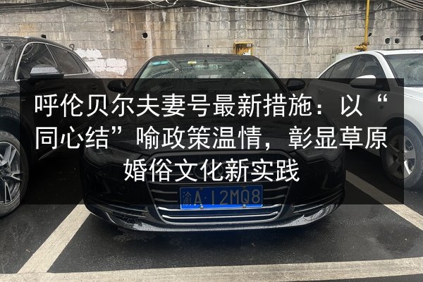 呼伦贝尔夫妻号最新措施:以“同心结”喻政策温情,彰显草原婚俗文化新实践 第2张 呼伦贝尔夫妻号最新措施:以“同心结”喻政策温情,彰显草原婚俗文化新实践 第2张