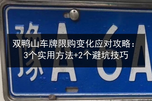 双鸭山车牌限购变化应对攻略：3个实用方法+2个避坑技巧