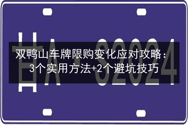 双鸭山车牌限购变化应对攻略：3个实用方法+2个避坑技巧 第2张