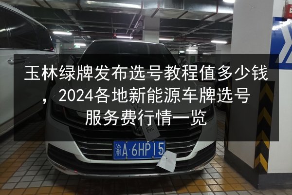 玉林绿牌发布选号教程值多少钱,2024各地新能源车牌选号服务费行情一览 第3张 玉林绿牌发布选号教程值多少钱,2024各地新能源车牌选号服务费行情一览 第3张