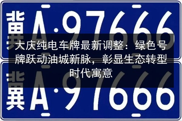 大庆纯电车牌最新调整：绿色号牌跃动油城新脉，彰显生态转型时代寓意 第2张