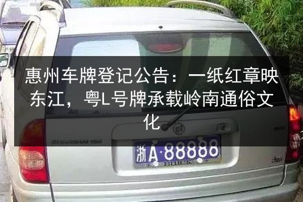 惠州车牌登记公告：一纸红章映东江，粤L号牌承载岭南通俗文化 第2张