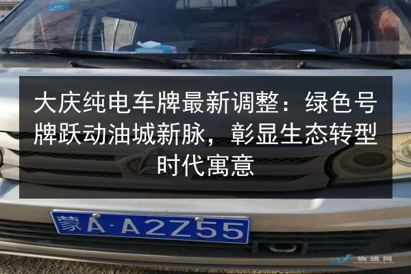大庆纯电车牌最新调整：绿色号牌跃动油城新脉，彰显生态转型时代寓意 第3张