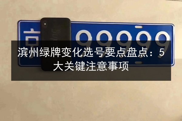 滨州绿牌变化选号要点盘点：5大关键注意事项 第2张