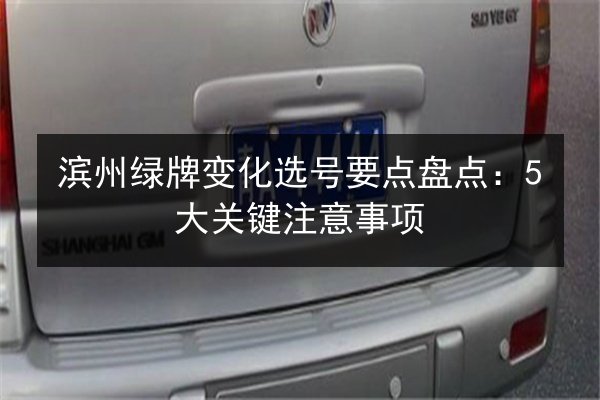 滨州绿牌变化选号要点盘点：5大关键注意事项 第3张