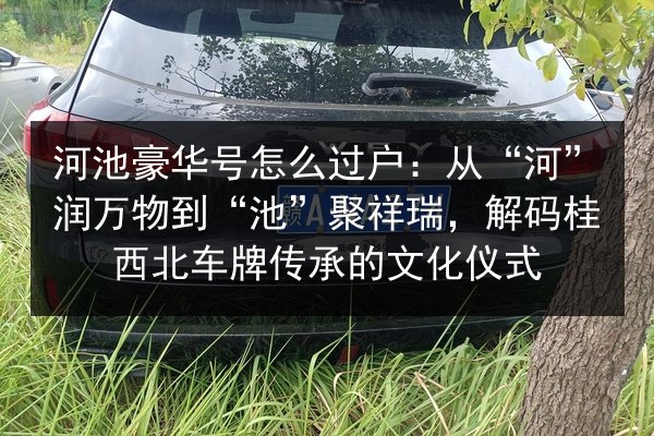 河池豪华号怎么过户：从“河”润万物到“池”聚祥瑞，解码桂西北车牌传承的文化仪式 第3张